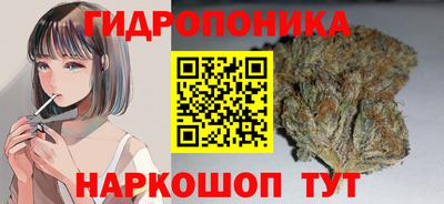 таблы Кингисепп