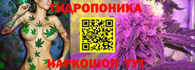 таблы Кингисепп