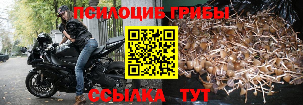 Псилоцибиновые грибы Psilocybe  Псилоцибиновые грибы MAGIC MUSHROOMS  Вход с VPN  Вольск 